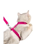 Pembe Kedi Tasması Boyun Göğüs Ayarlanabilir Sevk Kayışlı Gezdirme Seti Tasması